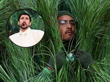 La cifra de dinero que le pagaron a los arbustos en el show de Bad Bunny: ¿Muy poco?