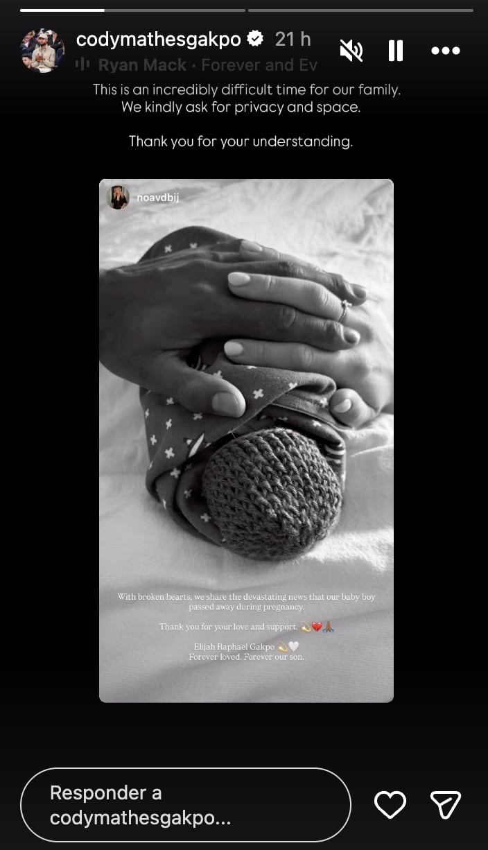 Créditos: Captura de pantalla tomada de Cody Gakpo en Instagram