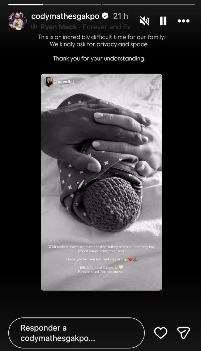 Créditos: Captura de pantalla tomada de Cody Gakpo en Instagram