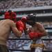 La Velada del Año V de Ibai Llanos: todos los ganadores y resultados del evento de boxeo