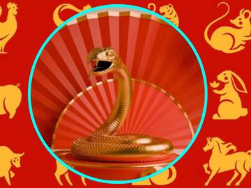 Signos del horóscopo chino que podrían encontrar el amor durante el 2025 año de la serpiente de madera