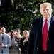 Donald Trump gana elecciones de EEUU y las redes sociales no perdonaron: los mejores memes