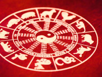 Signos compatibles con Serpiente horóscopo chino: Trabajadores y carismáticos ¿En qué año nacieron?