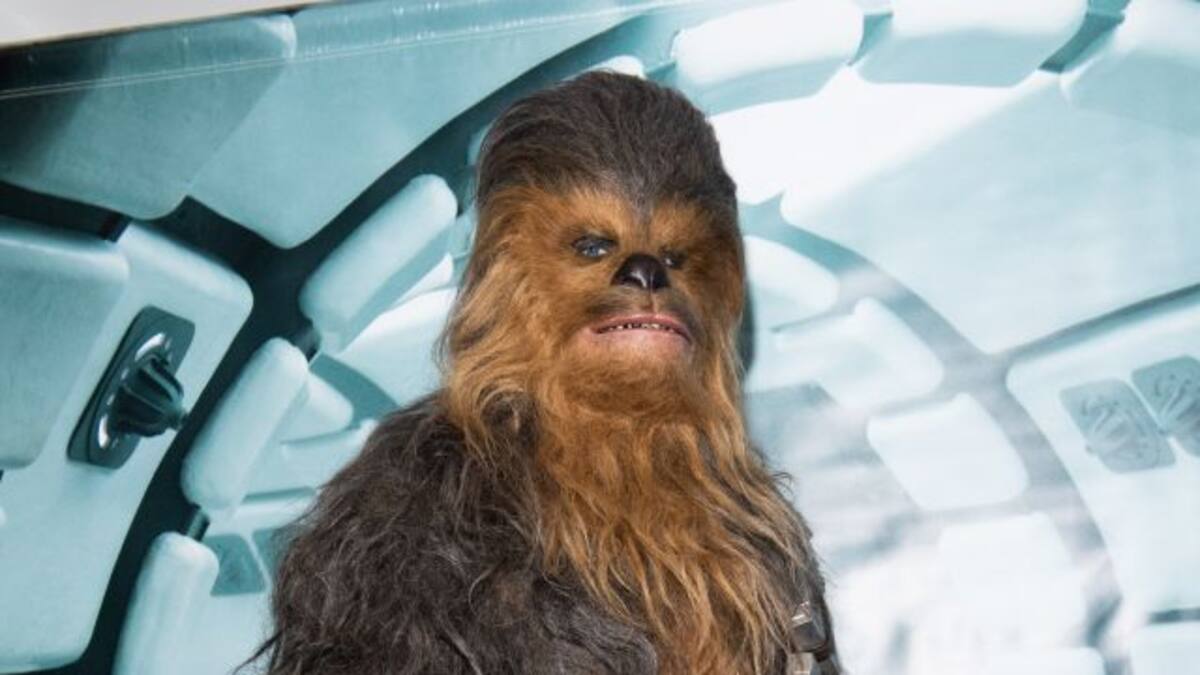 ¿Zapatos de Chewbacca? Adidas le apuesta a colección inspirada en este personaje