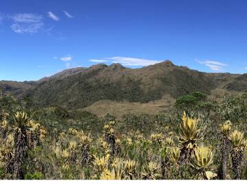 ¿Cómo la minería ha afectado al páramo de Pisba?