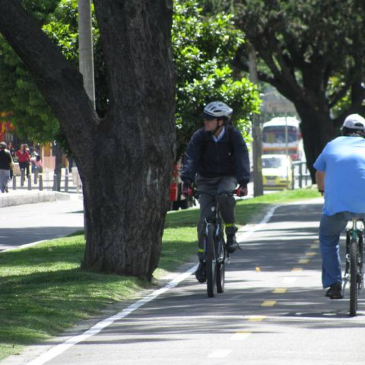 ¿Cómo inició el Día sin Carro?