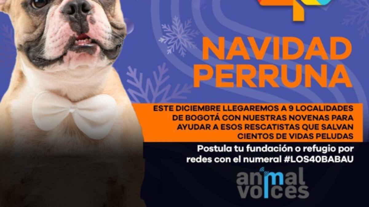 Vive una Navidad Perruna con LOS40