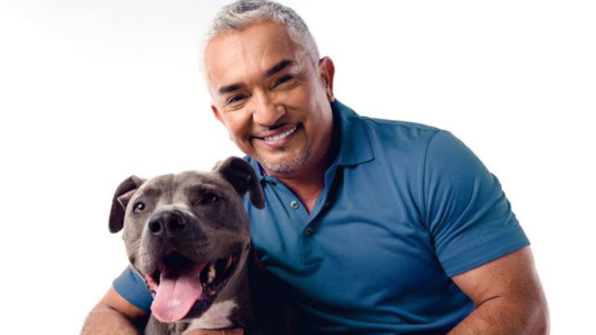 El Encantador de Perros se encuentra en líos con la justicia